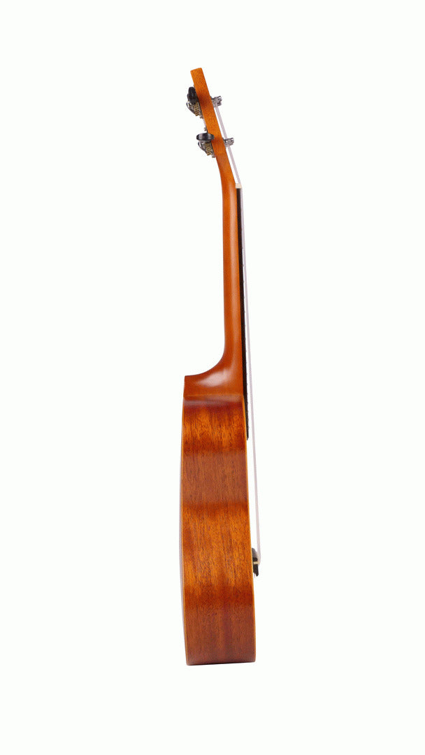 Ashton UKE240SP Concert Uke Spruce — view 3