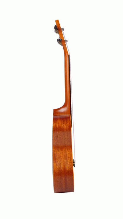 Ashton UKE240SP Concert Uke Spruce — view 3