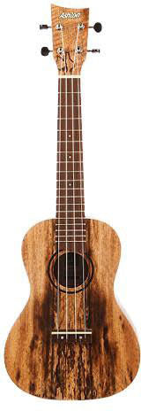 Ashton UKE500CMA Concert Ukulele In Mango Wood