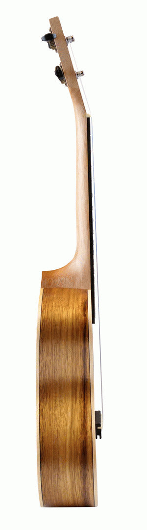 Ashton Uke500Caca Concert Ukulele Acacia — view 4