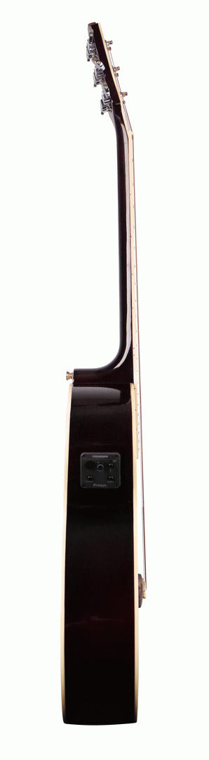Ashton SL29CEQ Wrs Acou/Electric Guitar — view 3