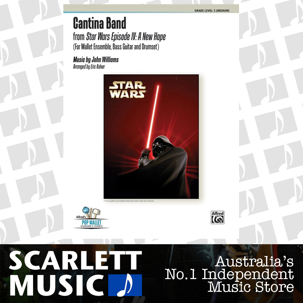 Cantina Band Percussion Ensemble — view 2