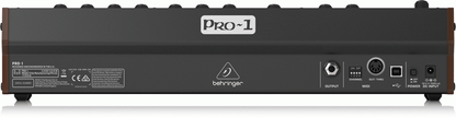 Behringer PRO 1 Analog Synth — view 3