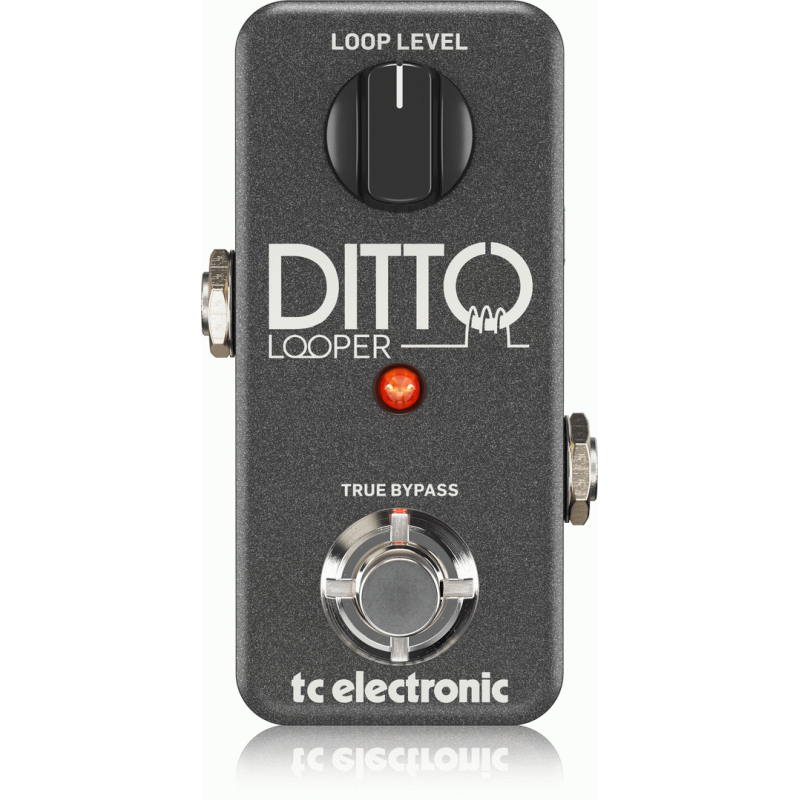TC Electronic Ditto Looper Pedal with 5 Minutes Looping Time, Analog-Dry-Through, True Bypass