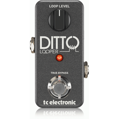 TC Electronic Ditto Looper Pedal with 5 Minutes Looping Time, Analog-Dry-Through, True Bypass