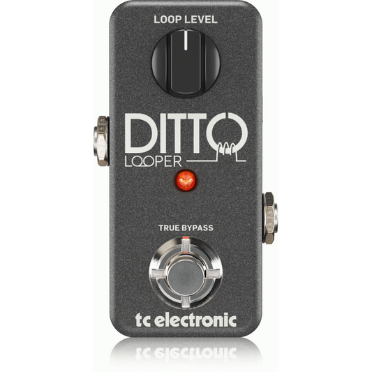 TC Electronic Ditto Looper Pedal with 5 Minutes Looping Time, Analog-Dry-Through, True Bypass