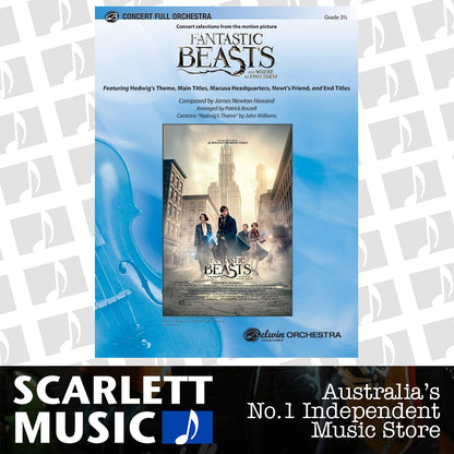 Fantastic Beasts And Where To Find Them Full Orchestra Gr 3.5 — view 2