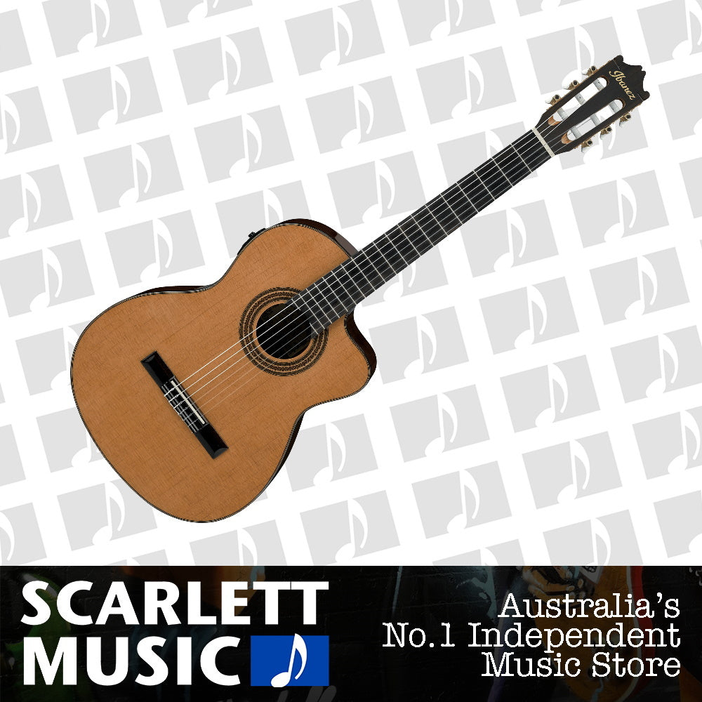 Ibanez GA6CE Classical Guitar — view 2