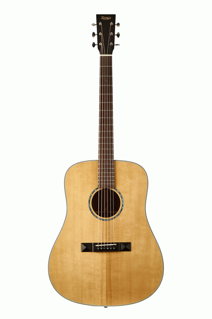 Tasman TA100 Acoustic With Premium Hard Case