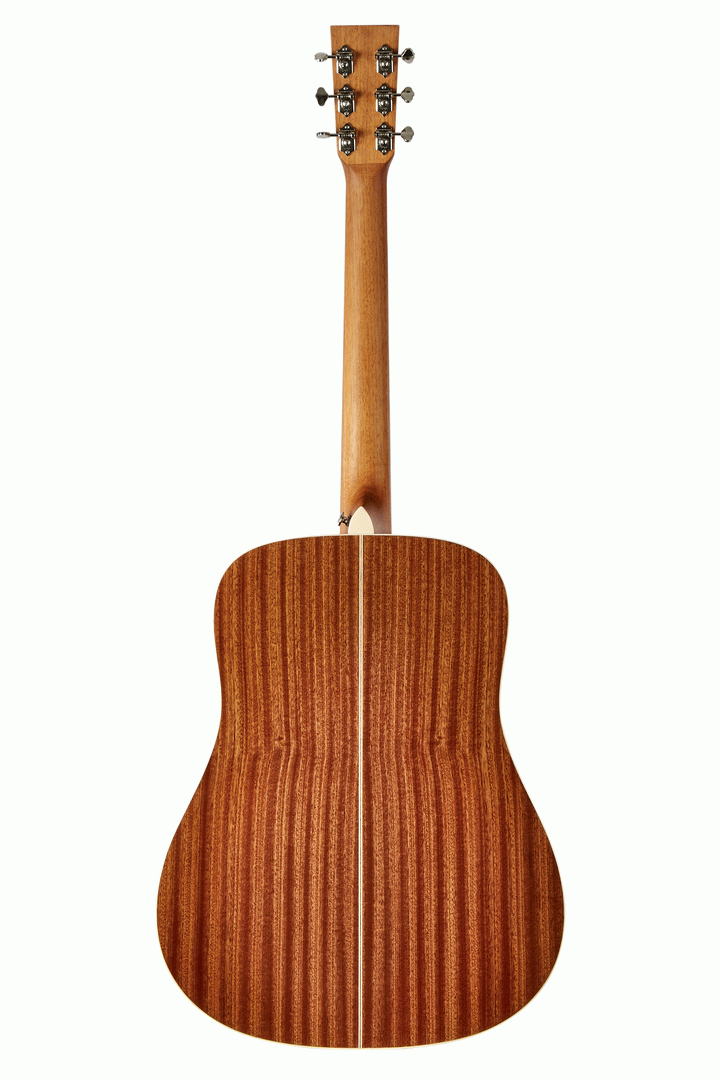Tasman TA100 Acoustic With Premium Hard Case — view 3