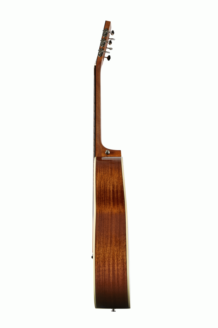 Tasman TA100P Parlour Acoustic With Hard Case — view 4