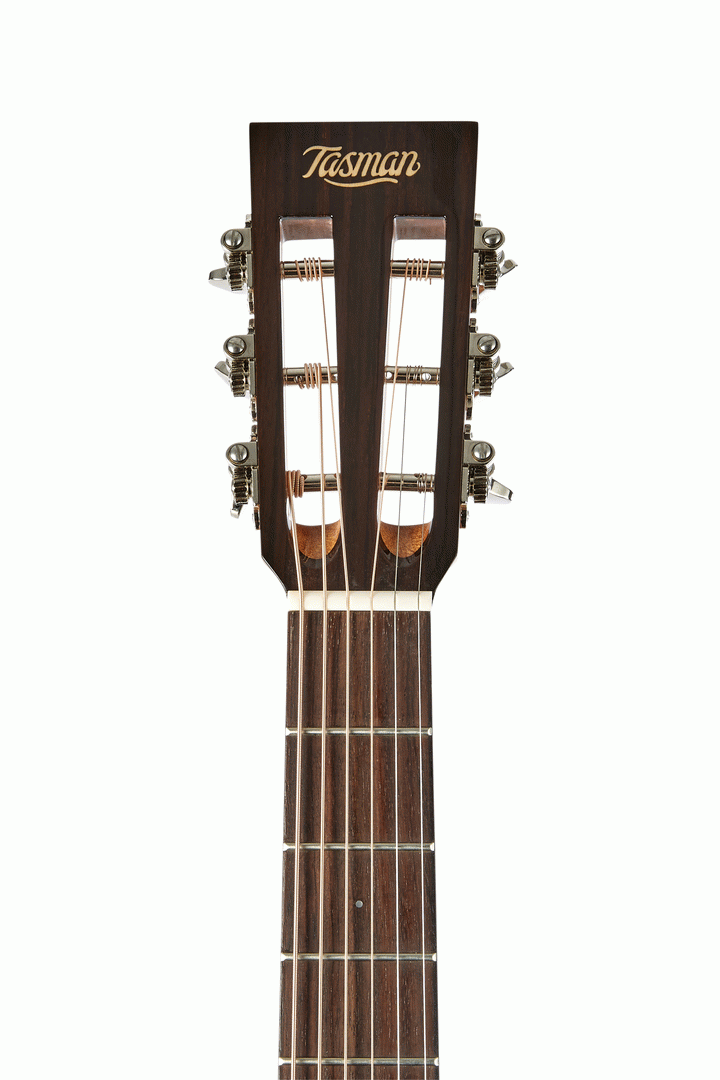 Tasman TA100P Parlour Acoustic With Hard Case — view 2