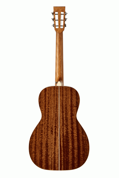 Tasman TA100P Parlour Acoustic With Hard Case — view 3