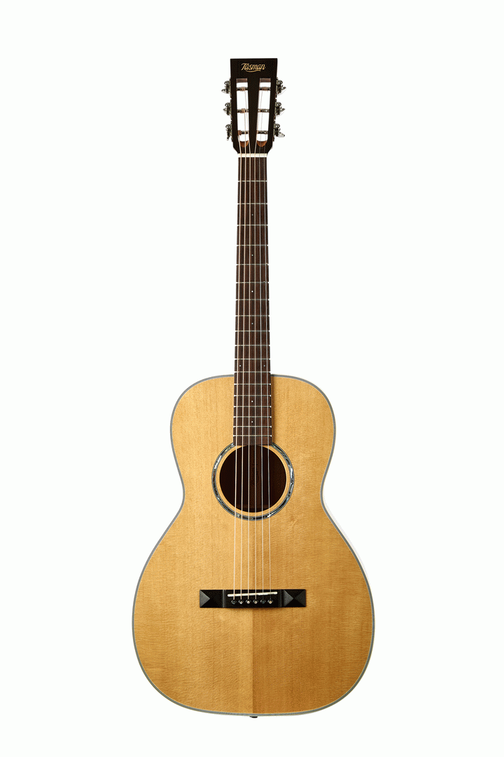 Tasman TA100P Parlour Acoustic With Hard Case