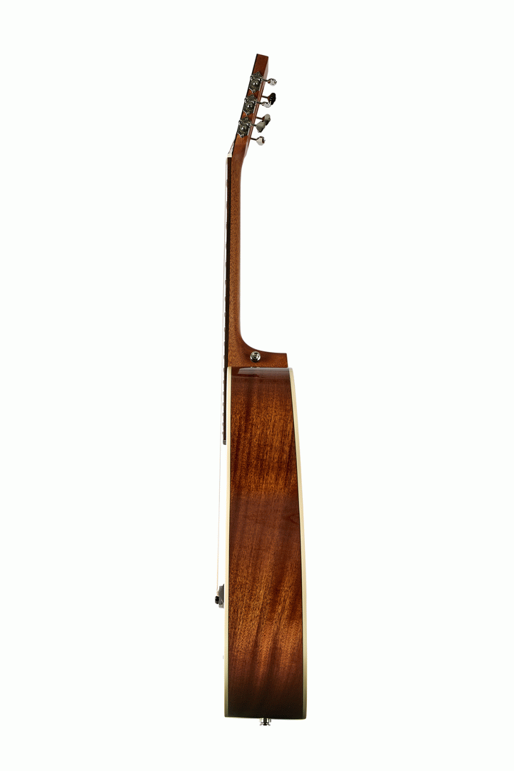 Tasman TA100P-E Parlour Acoustic Electric With Hard Case — view 4