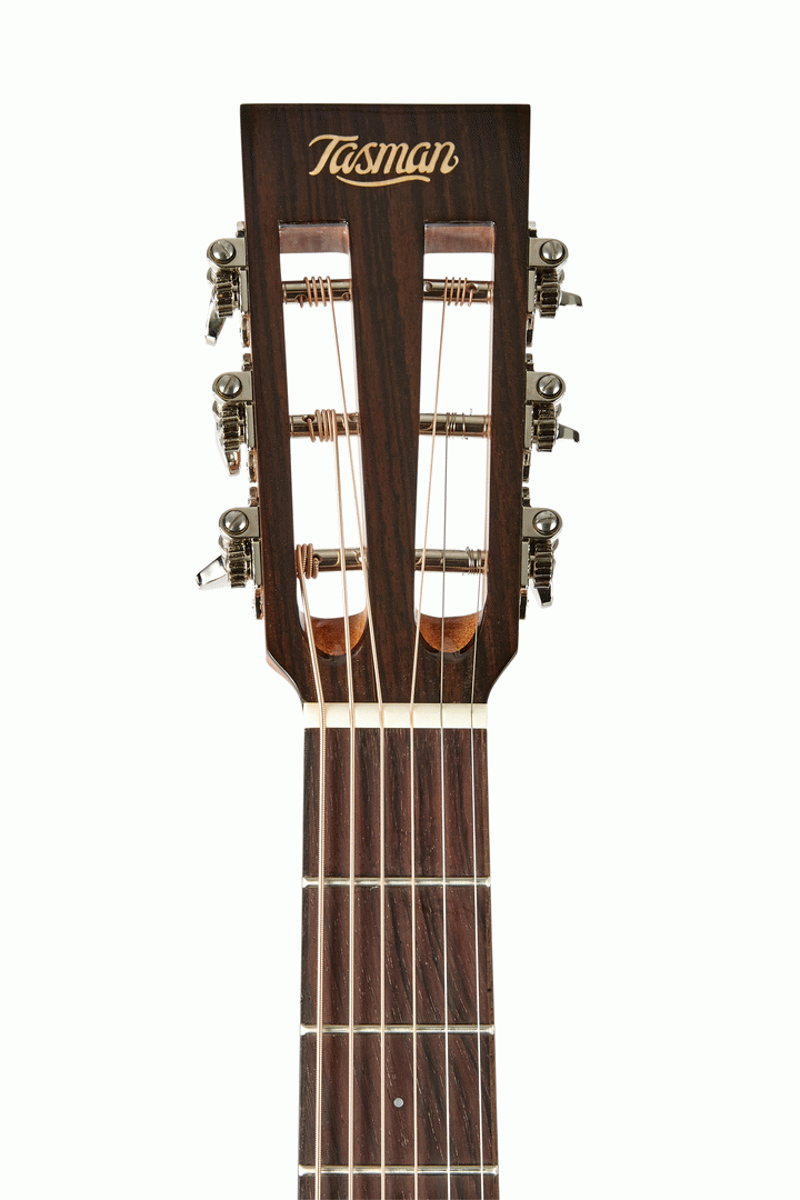 Tasman TA100P-E Parlour Acoustic Electric With Hard Case — view 2