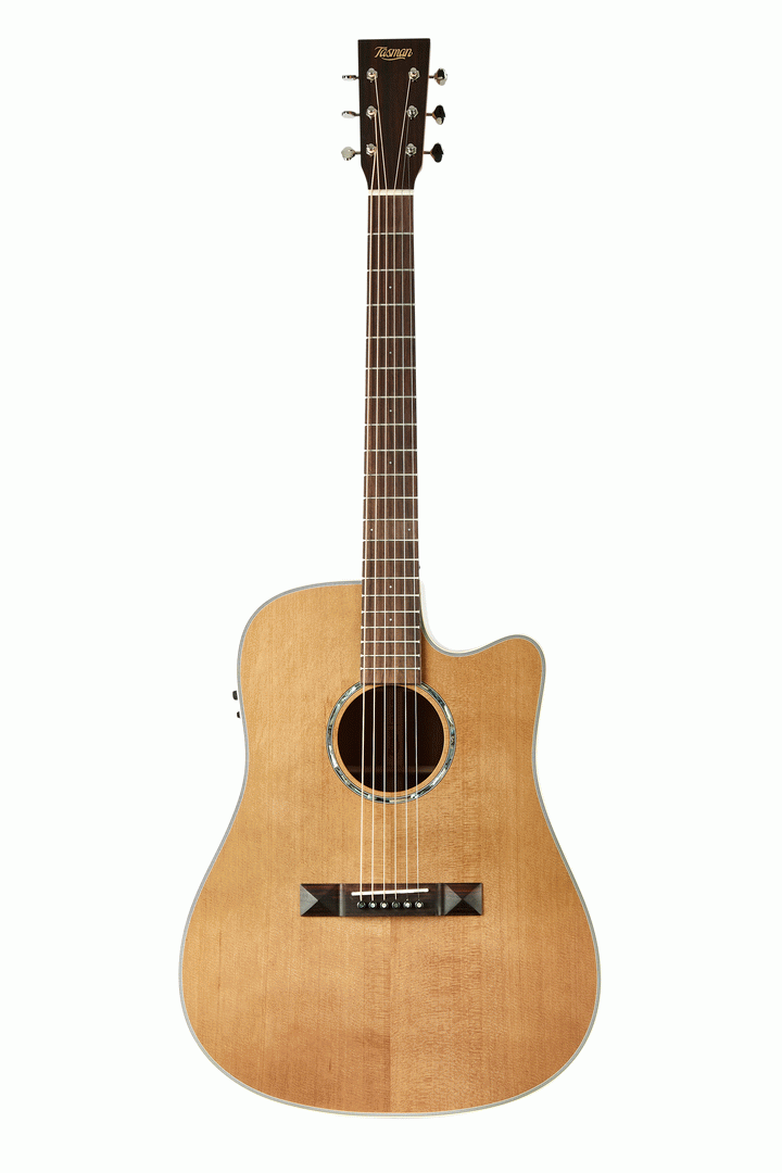 Tasman TA100-CE Dreadnought Cutaway Acoustic Electric With Hard Case