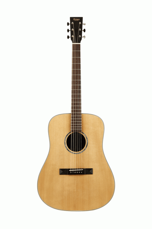Tasman TA200-E Dreadnought Acoustic Electric With Premium Hard Case