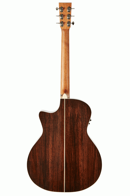 Tasman TA200GS-CE Grand Symphony Acoustic Electric With Premium Hard Case — view 3
