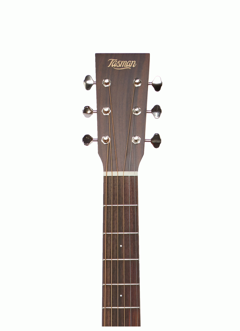 Tasman TA150O-E Om Acoustic Electric With Premium Hard Case — view 2
