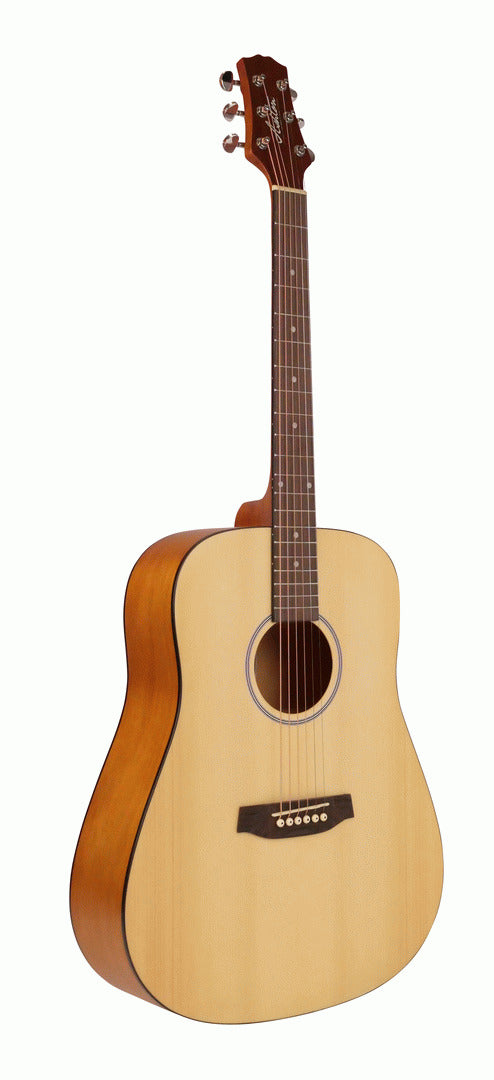Ashton D20 Acoustic Guitar (Natural Matte)