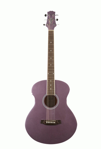 Ashton SL20EQLS Slimline Acoustic Eq