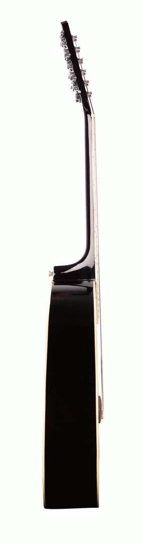 Ashton D20/12TSB Dreadnought 12 String Guitar — view 3