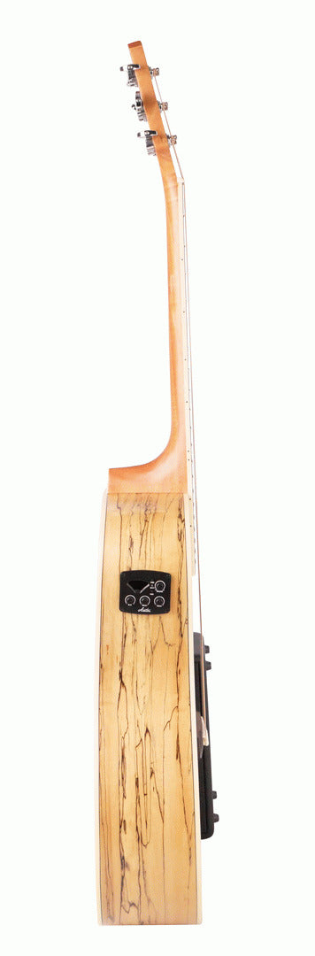 Ashton D26EQ SPM Acoustic Guitar w/ Pickup (Spalted Maple) — view 2