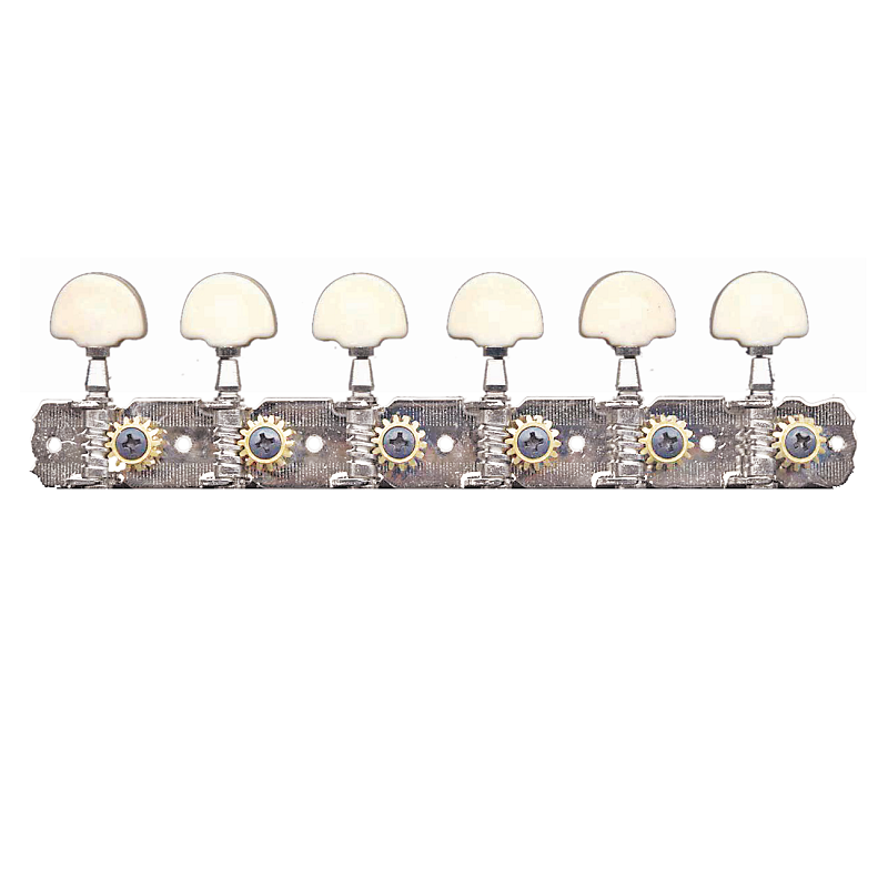 Custom Eagle 6-In-Line Machine Heads 12 String Nickel with Engraved Plates — view 2
