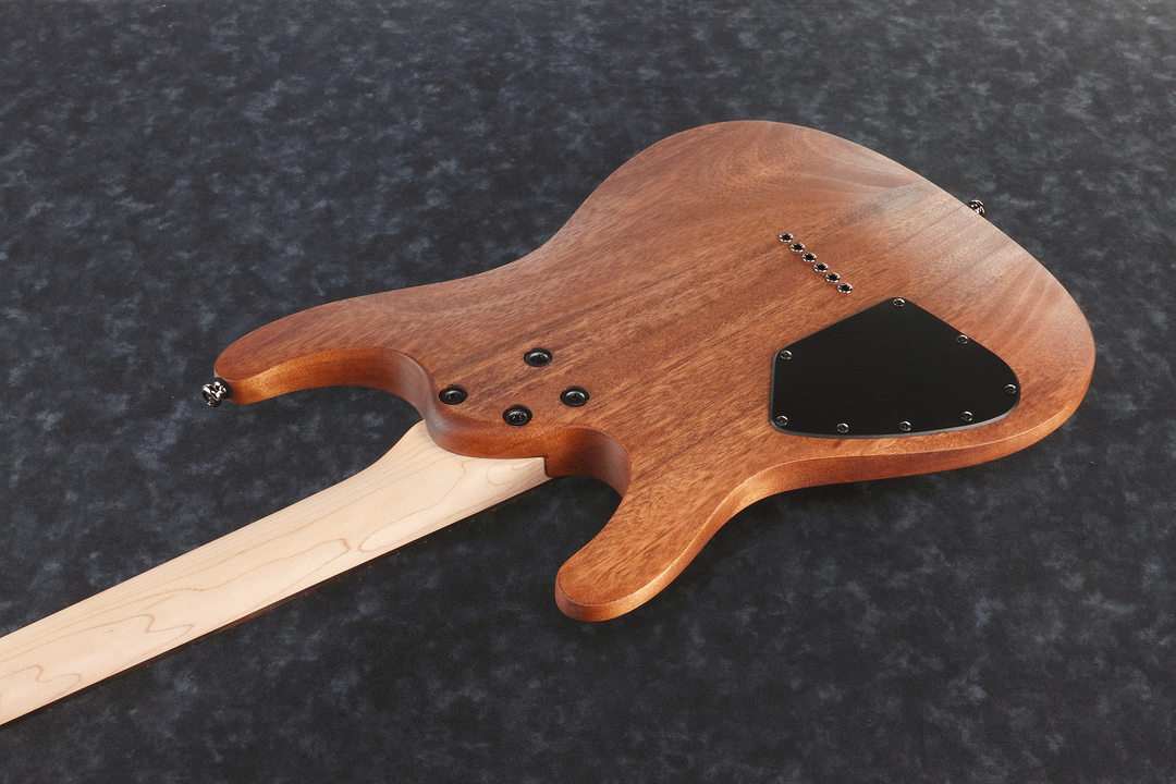 Ibanez S521 MOL Electric Guitar (Mahogany Oil) — view 2