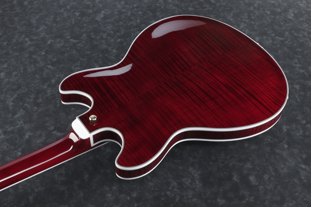 Ibanez EKM10T WRD Eric Krasno Electric Guitar W/Case (Wine Red) — view 3