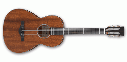 Ibanez AVN9 Artwood Vintage Grand Concert Thermo Aged Acoustic Guitar  (Open Pore Natural)