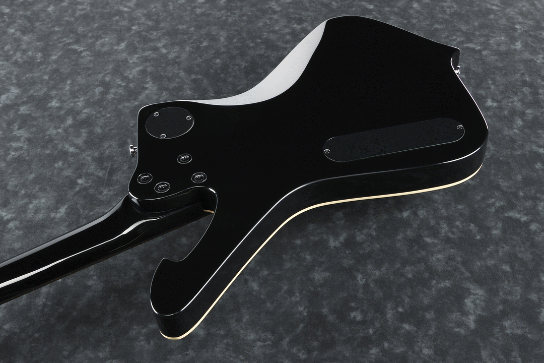 Ibanez PSM10 BK Paul Stanley Electric Guitar (Black) — view 2