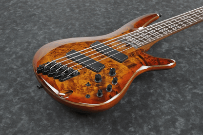 Ibanez SRMS805 BTT Electric 5-String Bass (Brown Topaz Burst) — view 4