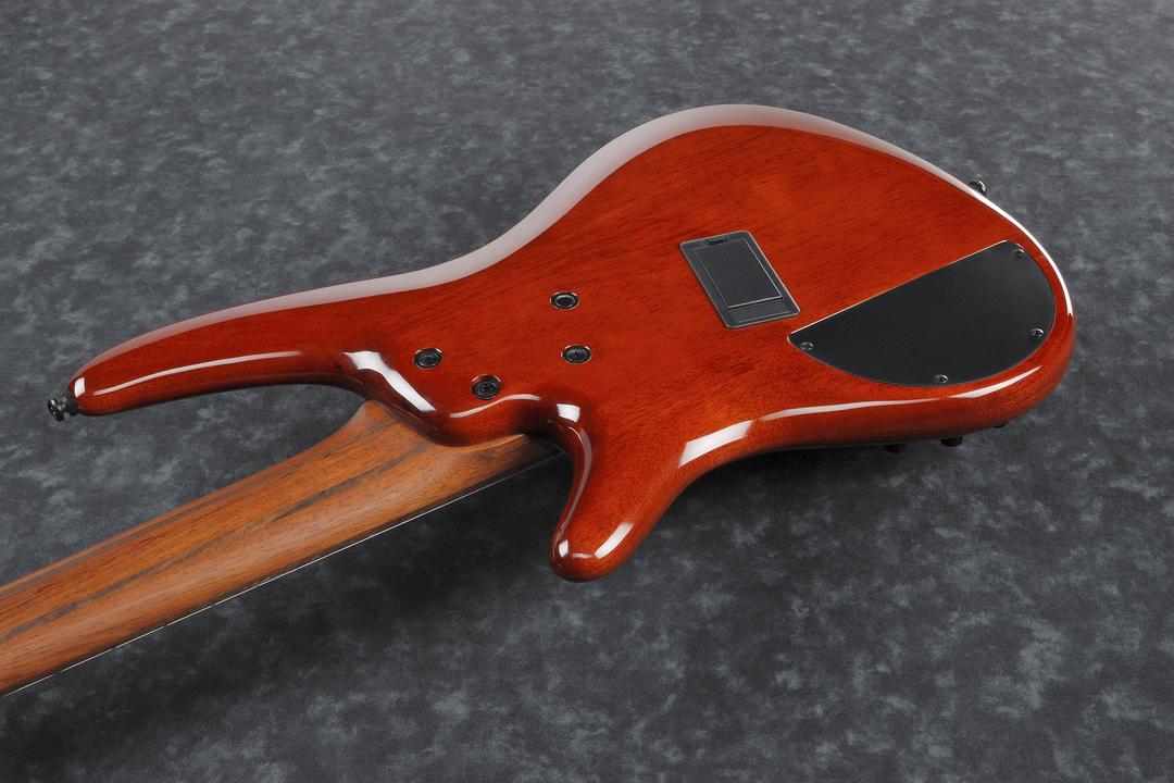 Ibanez SRMS805 BTT Electric 5-String Bass (Brown Topaz Burst) — view 3