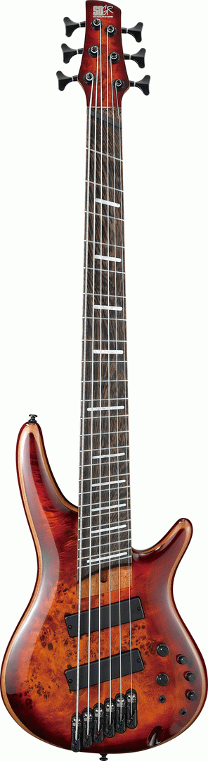 Ibanez SRMS806 BTT Electric 6-String Bass (Brown Topaz Burst)