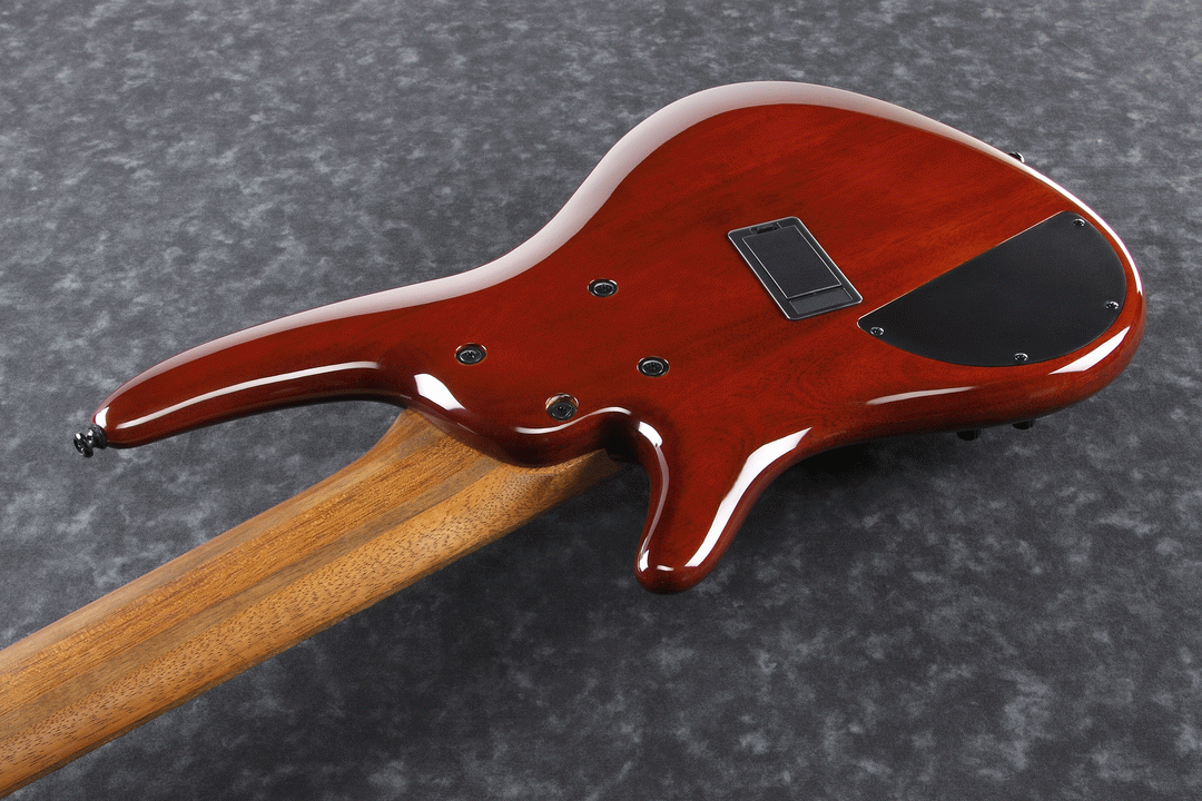 Ibanez SRMS806 BTT Electric 6-String Bass (Brown Topaz Burst) — view 3