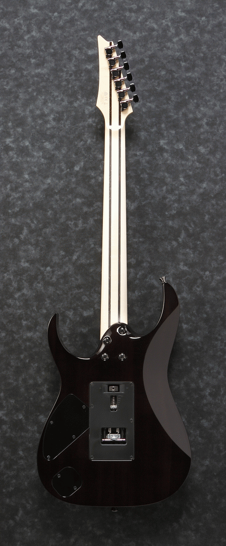 Ibanez RG8570Z BRE J Custom Electric Guitar W/Case (Black Rutile) — view 2