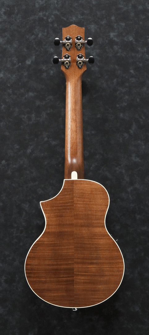 Ibanez UEW15E OPN Acoustic-Electric Ukulele (Open Pore Natural) — view 2