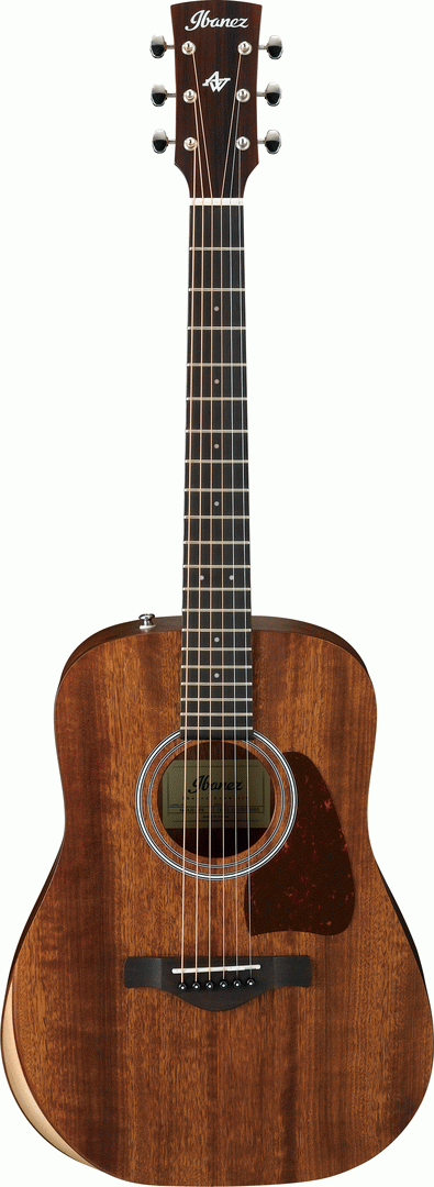 Ibanez AW54JR Artwood Acoustic Guitar w/ Junior Body (Open Pore Natural) w/ Gig Bag