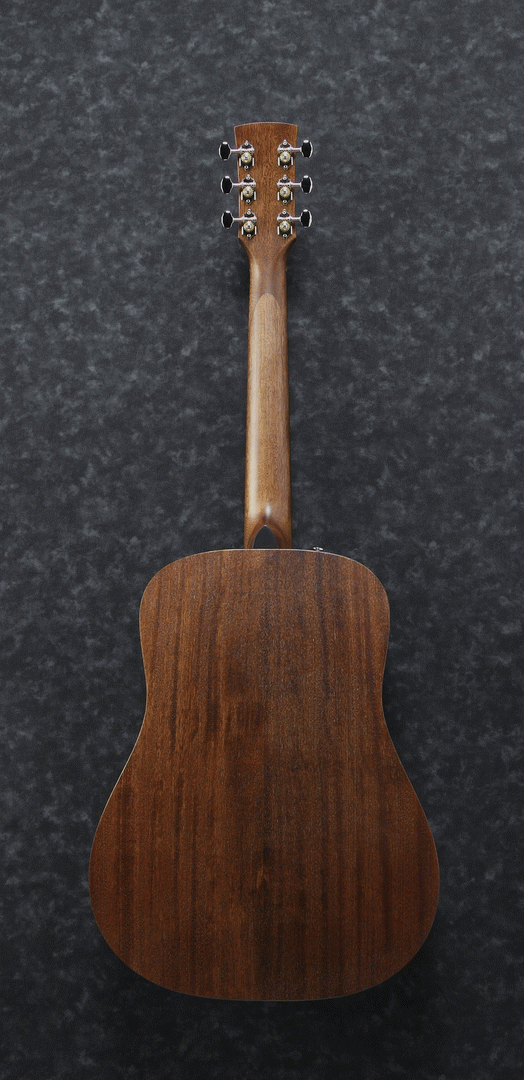 Ibanez AW54JR Artwood Acoustic Guitar w/ Junior Body (Open Pore Natural) w/ Gig Bag — view 2