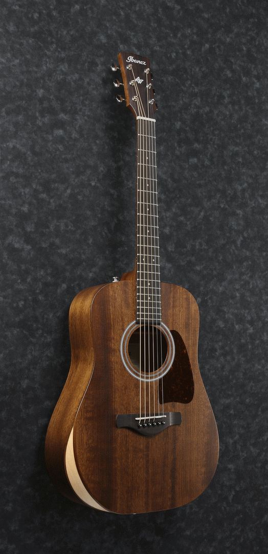 Ibanez AW54JR Artwood Acoustic Guitar w/ Junior Body (Open Pore Natural) w/ Gig Bag — view 4