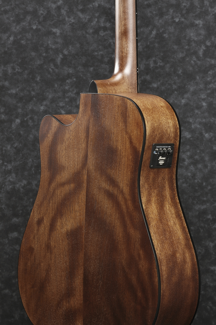 Ibanez AW5412CE 12-String Acoustic Electric Guitar (Open Pore Natural) — view 3