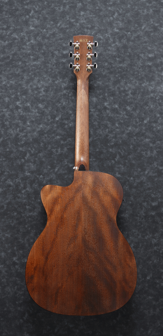 Ibanez AVC9CE OPN Artwood Vintage Acoustic Guitar (Open Pore Natural) — view 2