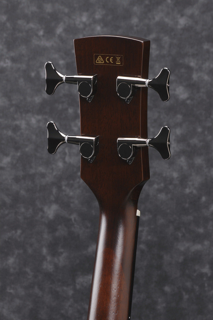 Ibanez Avnb1Fe Bv Fretless Acoustic Bass Guitar — view 4