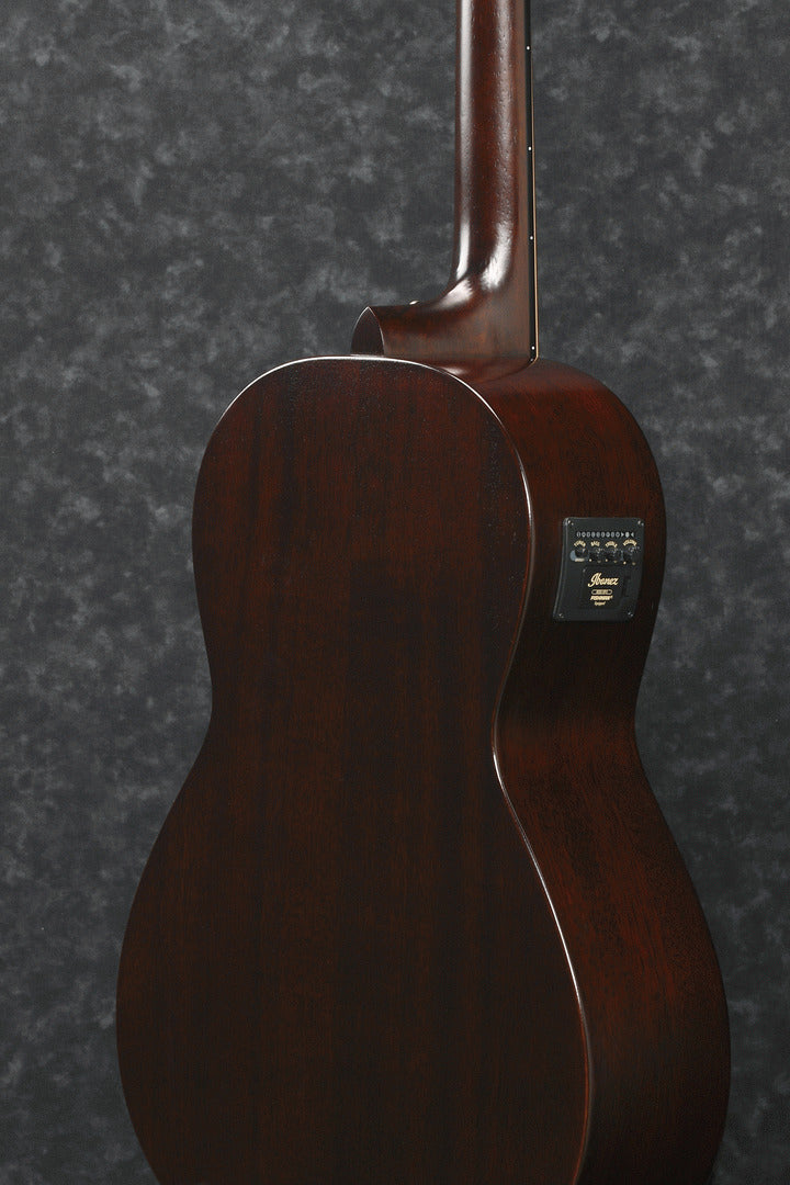 Ibanez Avnb1Fe Bv Fretless Acoustic Bass Guitar — view 3