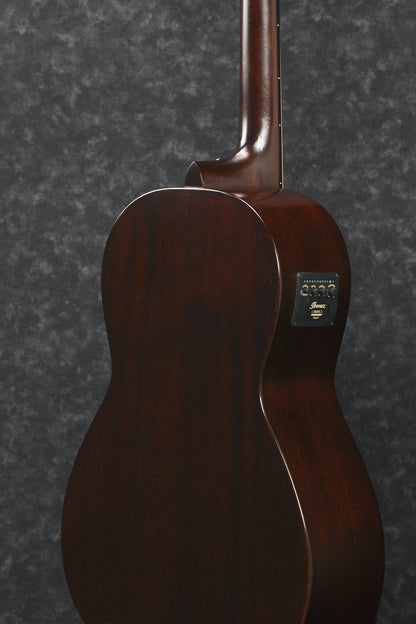 Ibanez Avnb1Fe Bv Fretless Acoustic Bass Guitar — view 3