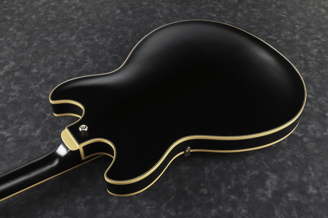 Ibanez JSM20 BKL John Scofield Electric Guitar W/Case (Black Low Gloss) — view 3