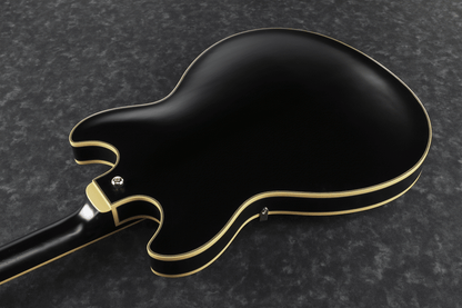 Ibanez JSM20 BKL John Scofield Electric Guitar W/Case (Black Low Gloss) — view 3