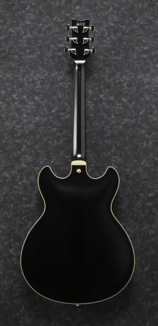 Ibanez JSM20 BKL John Scofield Electric Guitar W/Case (Black Low Gloss) — view 2